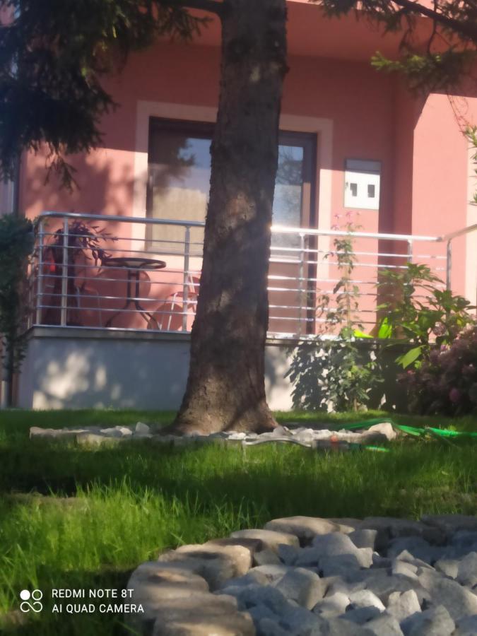 Studio 2 Ґолубац Екстер'єр фото